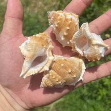 ���N��Ȼؐ�������ݾƵ�ס��С�Y��̴���ˮ���쾰�ֹ�DIY��Ʒ