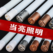 当亮照明led灯管t8日光灯1.2米长条光管超亮家用节能支架荧灯光管