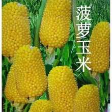 ˮ׷NӸ߮aŴƷN찫UϷ＾