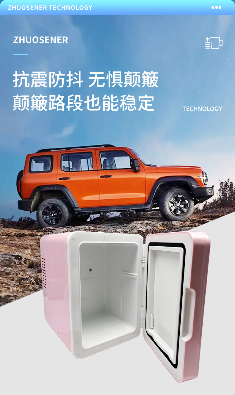 Mirror-Finish Mini Fridge, Car Fridge, Led Light, Dormitory Breast Milk, Facial Mask, Essence, Medicine Storage, Preservation Mini Fridge