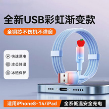 ����120W��䔵�����m���O��14/13/8p/12pro/11/6s�֙C��늾��羳