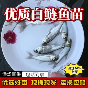 �����~�����Iˮ���������ӻ����~�絭ˮ�~����w���~���~�Ĵ���~