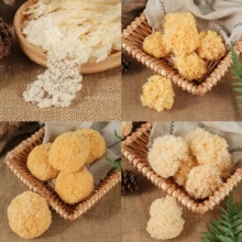 �F؛�羳�����ľ�y����Ѭ������Ⱦ�y������ľ���׳��z�|�Ҝ���