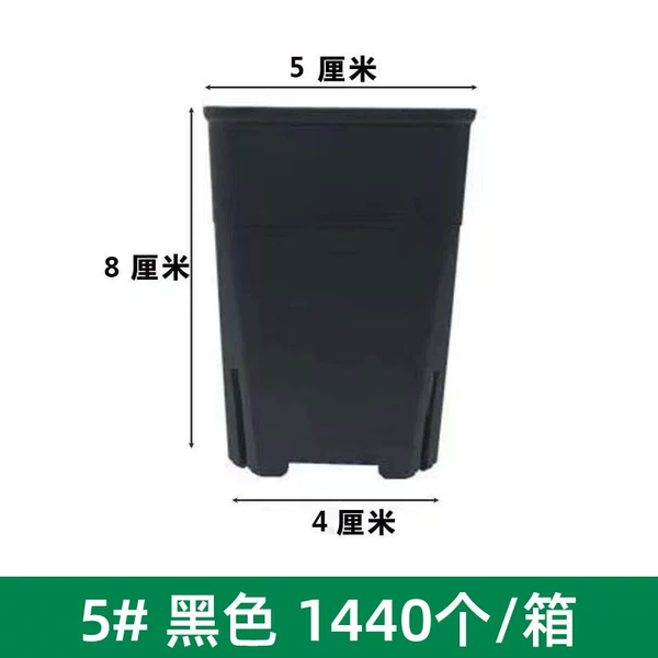 Black control root 5 square diameter 5cm shot 1440 pieces sent to a box