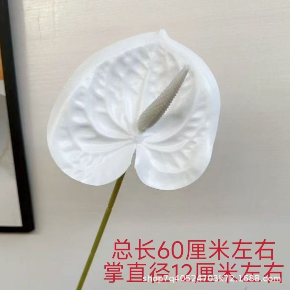 색상 22호