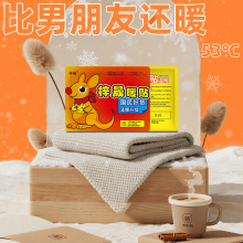 暖宝宝贴大号暖贴发热持久贴取暖保暖国民好货