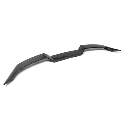 Fixed wind wing: carbon fiber tail fixed wind
