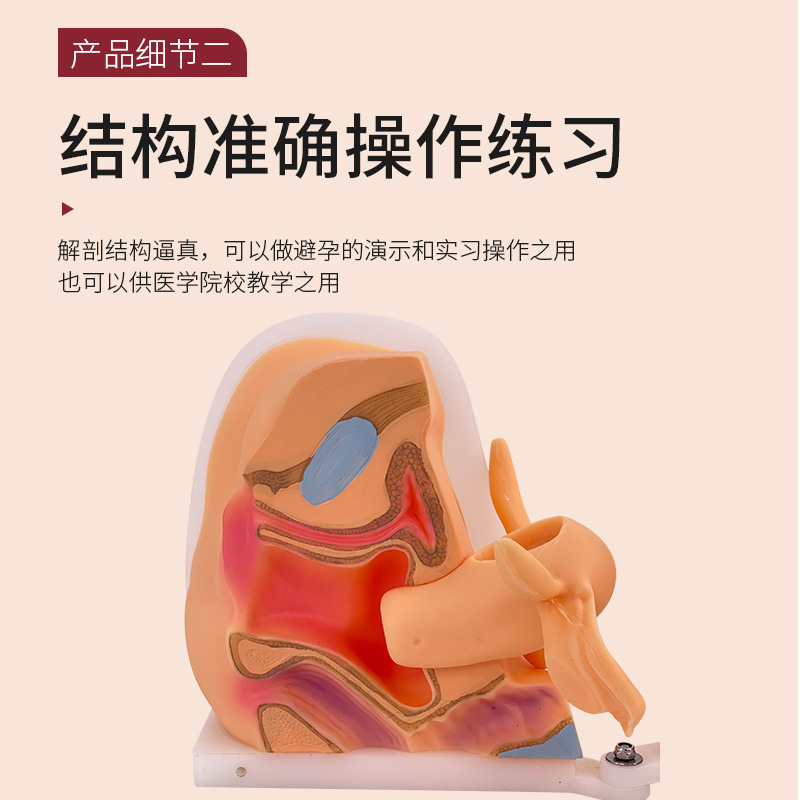 Ů����ֳ��ģ�� �����ӹ��������ѳ� ���Ƽ����н�ѧѵ�� 1��1