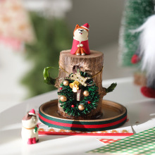 圣诞版水培幸运木巴西木木带芽开花花卉绿植植物室内办公室盆琴萱