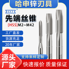 螺尖丝锥先端丝攻通孔M2M3M4M5M6M8M10M12M14M116M18M20M22M24M27