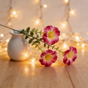 �羳���N���R�d��������ٻ����䠿ţ����ɫ�����������Ҿӑ����b