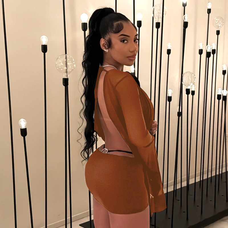 Women's Sexy Mesh Cowl Neck Flared Long Sleeve Backless Bodycon Mini Dress – Casual Resort Gown For Summer_ecoleips.com