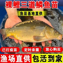 ~絭ˮBֳʳô~oןo~R[~