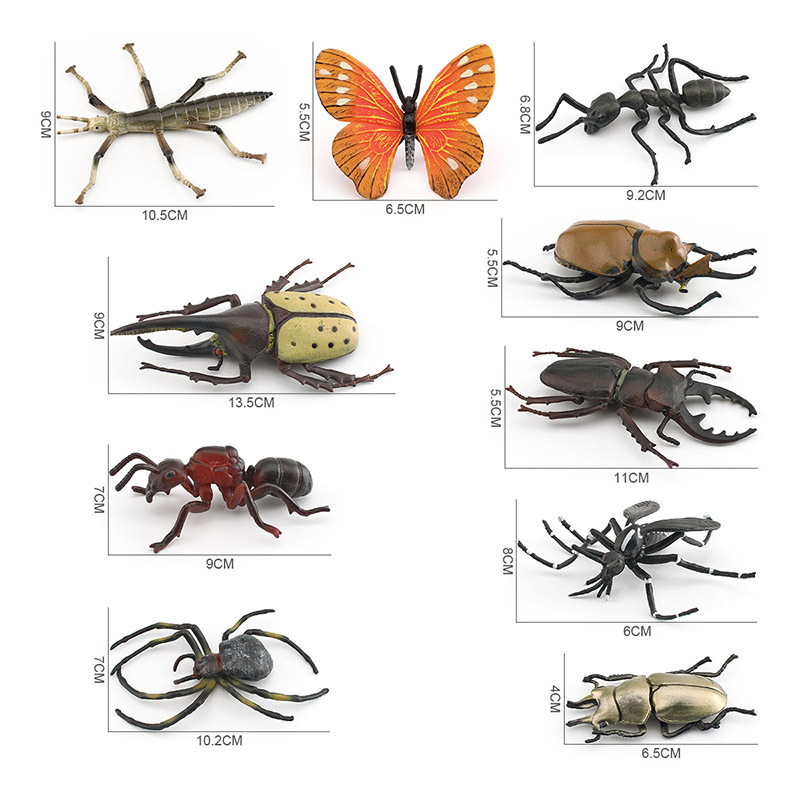 Transfronteriza Exportación de ciencia y educación infantil modelo animal simulación sólida mosquito mariposa Libélula Insecto animal adornos estáticos