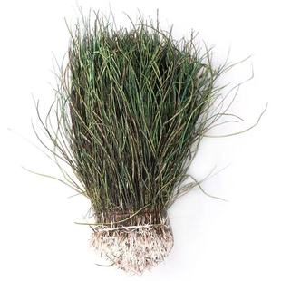 �F؛��ȸ��ë�z15-20cm diy�Ʒ����wω�hβ�z���b�o�Ͽ�ȸë