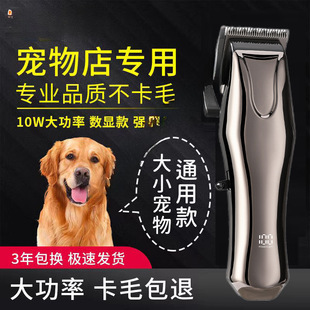 ���I������ë��������Ƽ���ë����Ȯ��������ӌ������؈��