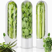 跨境亚马逊爆款香草保鲜盒 蔬菜储存器 防压坏环保保鲜器厂家批发