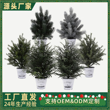 �羳�}�Q������ѩ��������ᘘ�[���bҾӑ����̘I�������Sֱ�N