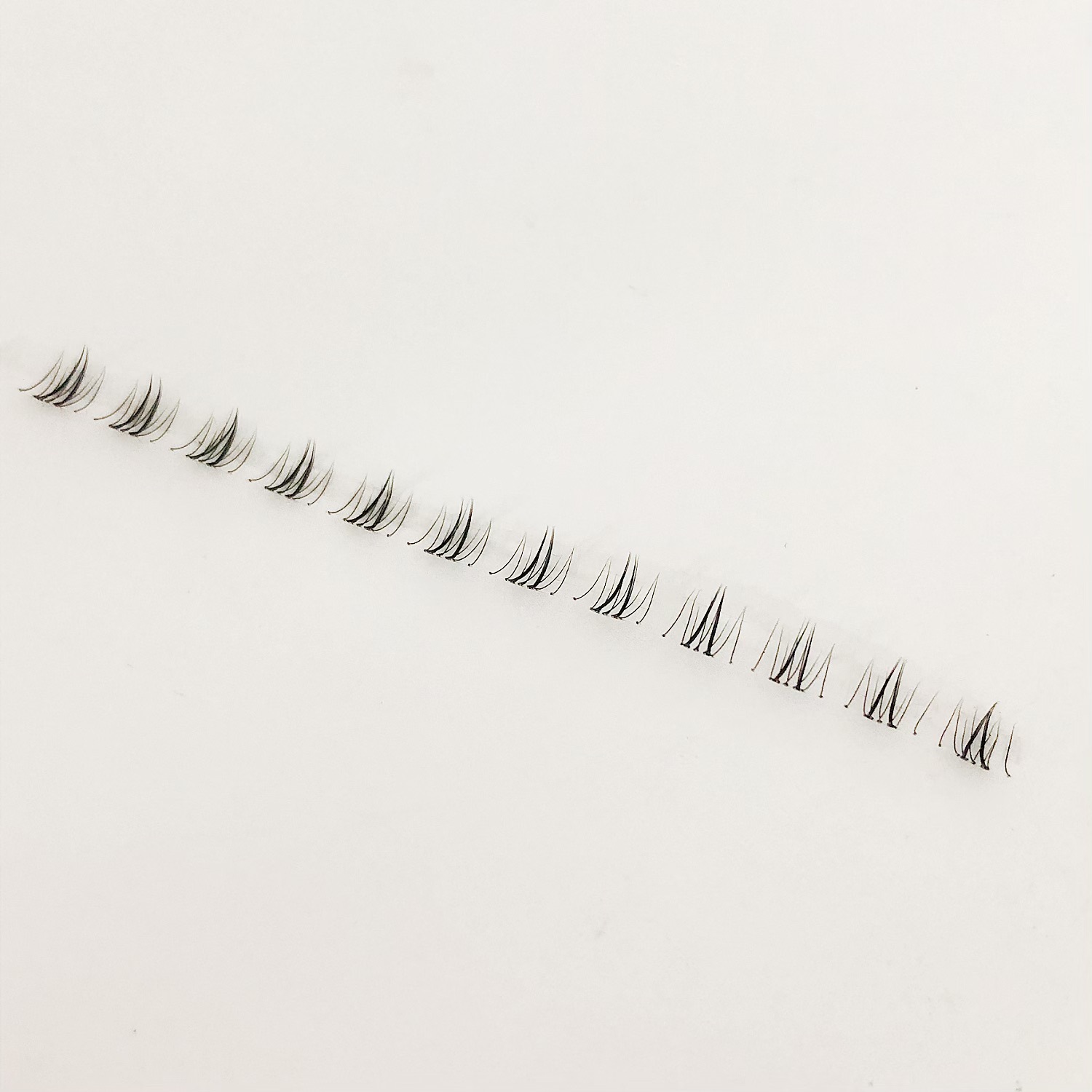 Pestañas inferiores Little Wildcat