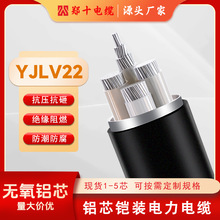 YJLV22Xоzb| 0.6/1KV O͉늾SֱN