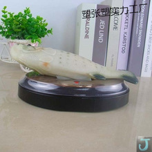 ��������~���携�����늄ӷ����~�����������͌����~��ͯ���