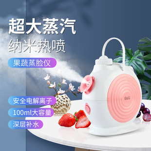 Face Steamer Face Steaming Hot Spray Machine Beauty Instrument Household Face Steamer Small Spray Nano Water Replenishing to Open Pore