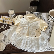 清仓不退不换【理性下单】夏季女童蝴蝶结波点短袖T恤