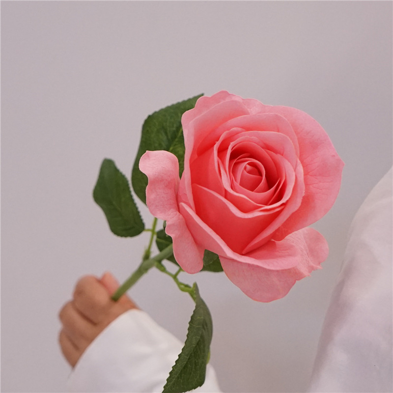 촉촉한 로즈-다크핑크 느낌