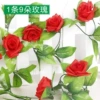 9-head rose vine bright red