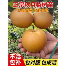 ����������������޽��ϱ����NֲͥԺ���Դ����ͺ����箔��Y��