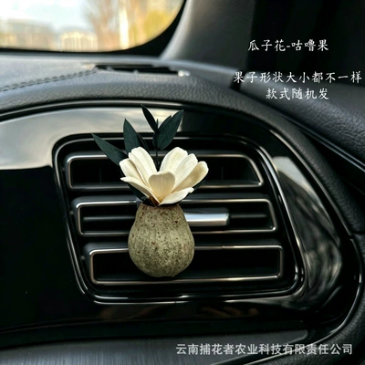 Vent Decoration High-End Diffuser Car | Car Perfume Aromatherapy - gua-zihua-gulu-fruit-car-style-free-essential-oil