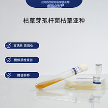 ݲѿߗUACCC11089 wSø øƄ ϺS