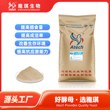 ᄾƽĸBӄԔԃͷĸԴϼ