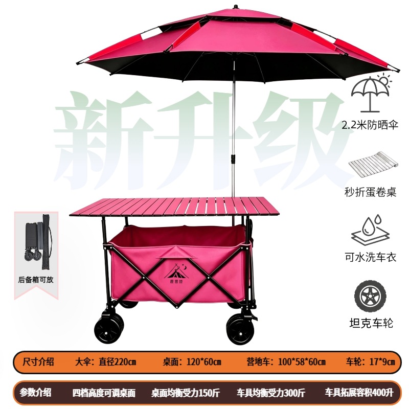 Carro Plegable de Campamento y Puesto de Metal con Mango Telescópico para Picnic al Aire Libre