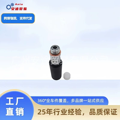 2447010038 2447222125 – Oil pump, nozzle