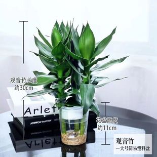 ˮ���^�����F���҃ȾGֲ�k���ҿ͏d�����ļ����B�P�ԃ����՚�