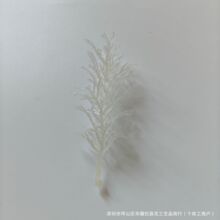 �S�����l���컨����ˮ���������Fڡ���������b���