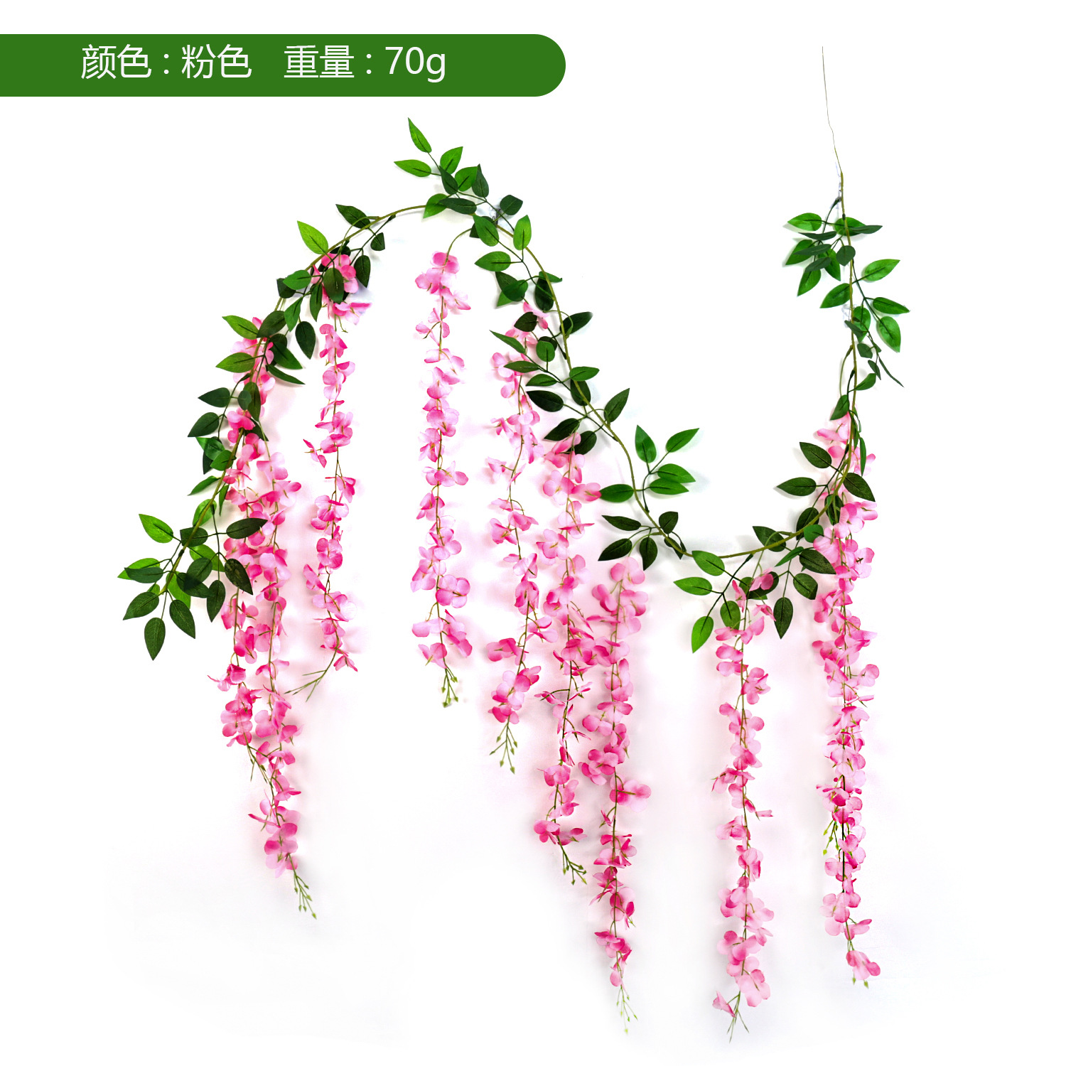분홍색 등나무 꽃줄기(꽃이삭 10개)
