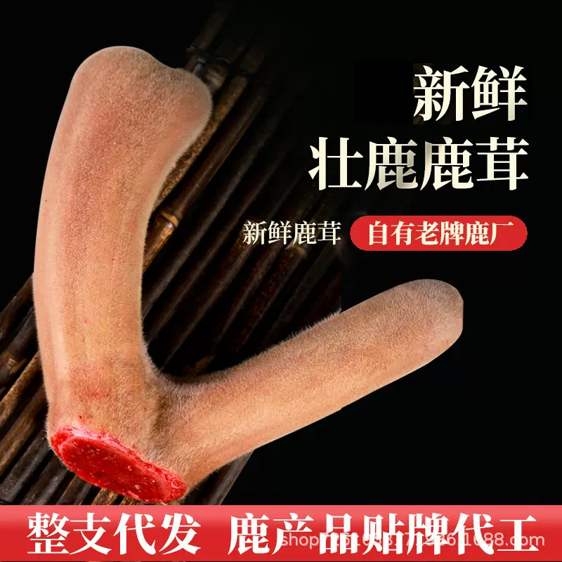 【定制】鹿茸 鹿茸带血头茬泡酒煲汤可切片连刀切代发 整根鲜鹿茸