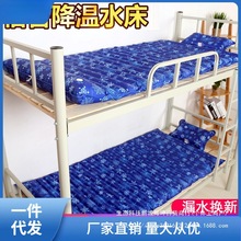 水床垫冰垫水垫单人学生宿舍水席双人水床家用夏季降温冰链则娜幽