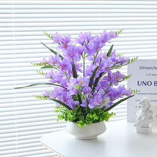 �p��ins��ѩ�m�����m���滨�ٻ��[�O�ɻ�ˇ�����[���b廨�[��