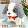 Bow Tie Saint Bernard Gray