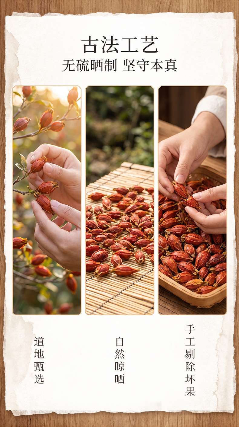 Dried Gardenia Fruit Zhi Zi 500g Whole Gardenia jasminoidis for Herbal Decoction and Tea specifications