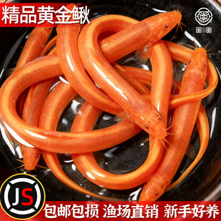 �S�����q��ˮ������~�׳����坍�����~�¾��ֻ��~�^�p�~С���~��