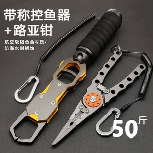 �X�Ͻ�ឳ�25�������ؿ��~�����iҹ�⺣�·���Q�ϭh�u��~����