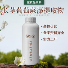 �L�o����ާ����ȡҺ ��������ȡ�� ���yƷֲ��ԭ�� ˮ���o�w�ɷ�