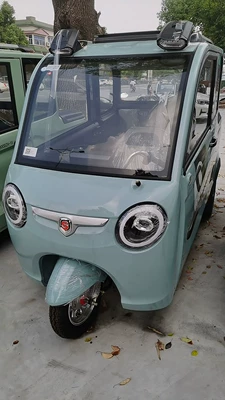 Sheng Hao electric car European Avtomobil boya qələmləri - glacier-blue-send-actual-car-pictures-to-customer-service