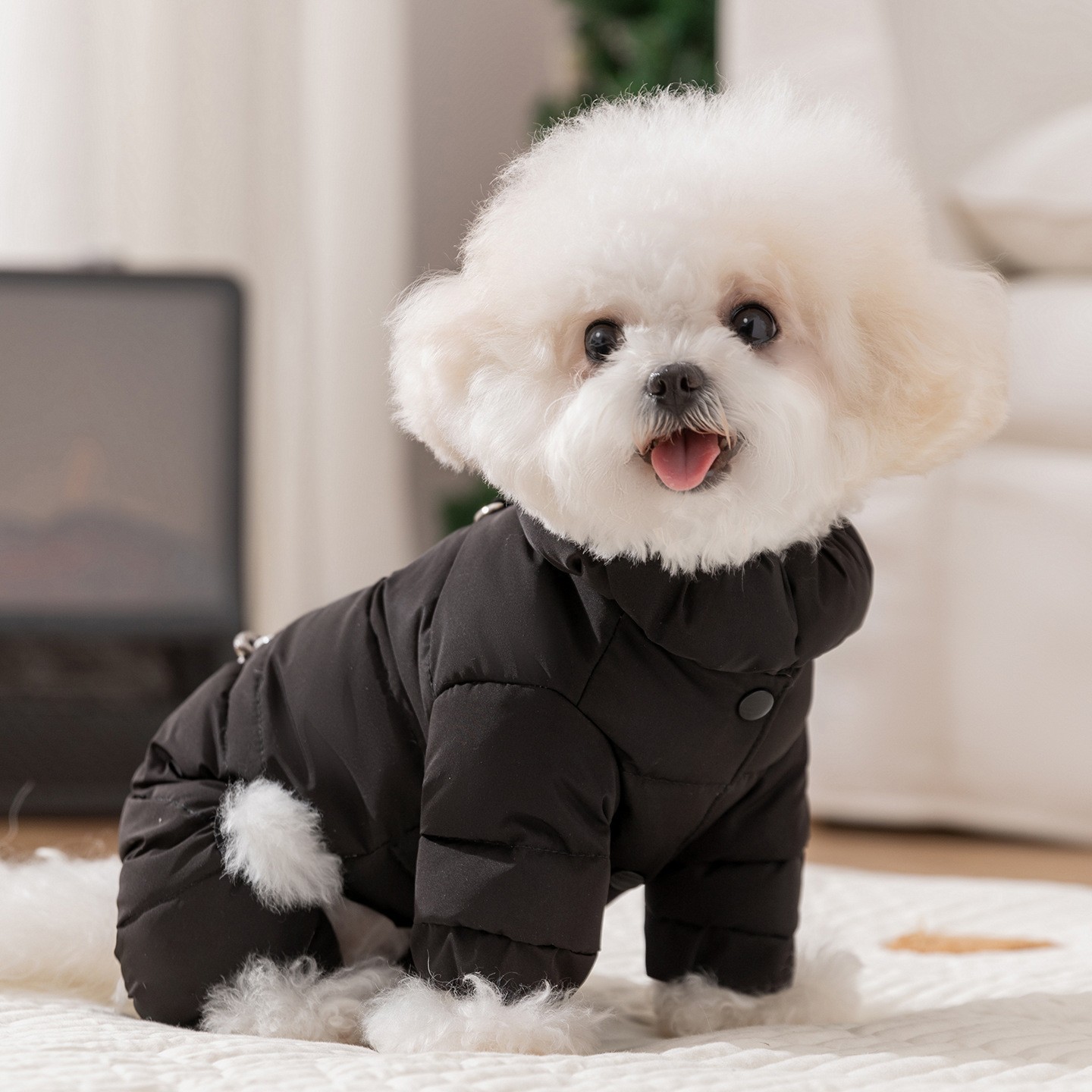 Ropa de mascotas otoño y invierno de cuatro patas de tracción de grafeno chaqueta de plumón para perros pequeños y medianos que osos Teddy ropa de mascotas cálidas image 4