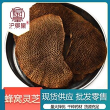 �����÷�C�`֥ë��C�`֥�f��ަ߀ꖲݭ���