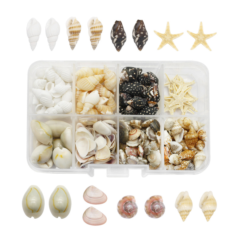 Non-Porous Natural Shells, Conch and Starfish Combination DIY Photo Frame, Fish Tank Landscaping Decoration, Handmade Material Set Non-Porous Natural Shells, Conch and Starfish Combination DIY Photo Frame, Fish Tank Landscaping Decoration, Handmade Material Set